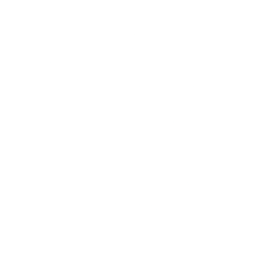 Logo CluzStudio